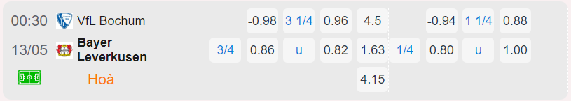 Bảng tỷ lệ kèo Bochum vs Bayer Leverkusen