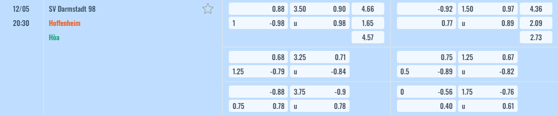 Bảng tỷ lệ kèo Darmstadt vs Hoffenheim